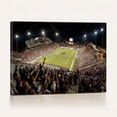 Washington-Grizzly Stadium Canvas Wall Art – Exciting Game