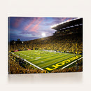 University of Oregon Ducks Football Team Print - Eugene
