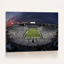 Penn State University Nittany Lions Football Team Print -