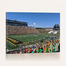 University of Missouri Tigers Football Team Print - Columbia