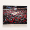 Louisville Cardinals Basketball Print Canvas - Louisville