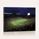 Michigan Wolverines Football Canvas Wall Decor, Football
