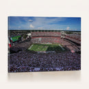 South Carolina Gamecocks Football Team Print - Columbia