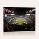 Eagles Field Stadium Wall Art - Philadelphia Eagles Football