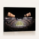 Eagles Field Stadium Wall Art - Lincoln Financial Field