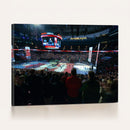 Rogers Arena Vancouver Canucks Ice Hockey Stadium Wall Art,