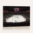 T Mobile Arena Paradise Nevada Vegas Golden Knights Ice