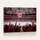 Carolina Hurricanes Ice Hockey Stadium Wall Art, Carolina