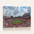 NC State Wolfpack Football Team Print Canvas- Raleigh