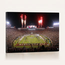 Framed Florida State Seminoles Football Team Print -