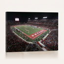 Houston Cougars Football Team Print - Houston TDECU Stadium