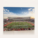 Framed Houston Cougars Football Team Print - Houston TDECU