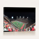 Houston Cougars Football Team Print - Houston TDECU Stadium