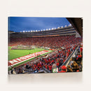 Wisconsin Badgers Football Team Print - Madison Camp Randall