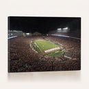 Wisconsin Badgers Football Team Print - Madison Camp Randall