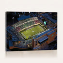 University of North Texas Mean Green Football Artwork,