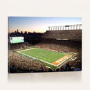 Darrell K Royal-Texas Memorial Stadium Canvas Wall Art -