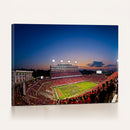 Wolfpack Football Team Wall Art Print - Raleigh