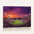 East Carolina University Pirates Football Print Canvas-