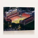 University of Illinois Fighting Illini Football Team Print -