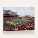 University of Illinois Fighting Illini Football Team Print -