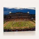 University of Illinois Fighting Illini Football Team Print -