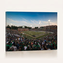 University of Charlotte 49ers Football Team Print -