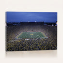University of Michigan Wolverines Football Team Print - Ann