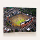 University of Michigan Wolverines Football Team Print - Ann