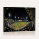 Olsen Field at Blue Bell Park - Texas A&M Aggies Baseball
