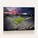 Penn State Nittany Lions Football Team Print - University