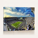 Framed USF Bulls Football Team Print - Tampa Raymond James