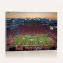 Arizona Wildcats Football Team Print - Tucson Arizona
