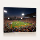 Clemson University Tigers Art Print, Football Team Print -