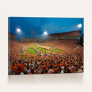 Clemson University Tigers Football Team Print - Clemson