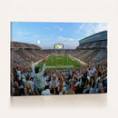 Michigan State Spartans Football Team Art Print - East