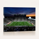 Michigan State Spartans Football Team Print - East Lansing