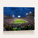 Michigan State Spartans Football Team Print - East Lansing