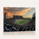 Michigan State Spartans Football Team Print - East Lansing