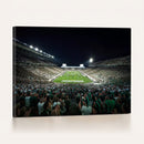 Framed Michigan State Spartans Football Team Print - East