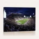 Michigan State Spartans Canvas, Framed Football Team Print -