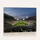 Michigan State Spartans Football Team Print - East Lansing