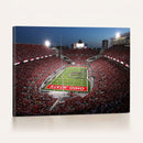 Ohio State University Buckeyes Football Team Print -