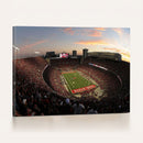 Ohio State University Buckeyes Football Team Print -