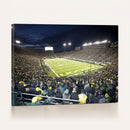 University of Oregon Ducks Football Team Print - Eugene