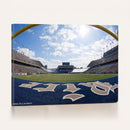 Rice University Owls Football Team Print - Houston Rice