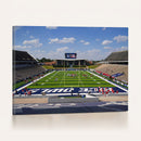Rice University Owls Football Team Print - Houston Rice