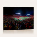 Rutgers Scarlet Knights Football Team Print - SHI Stadium,