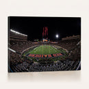 Framed Texas Tech Red Raiders Stadium Canvas, Texas Tech Red