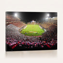 University of Maryland Terrapins Football Team Print -